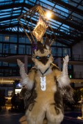 Eurofurence 24