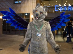 Eurofurence 24