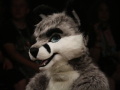 Eurofurence 24