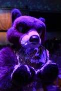 Eurofurence 24