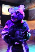 Eurofurence 24