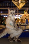 Eurofurence 24