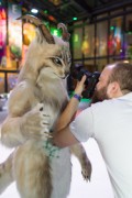 Eurofurence 24