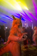 Eurofurence 24