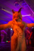 Eurofurence 24