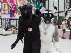 Eurofurence 24