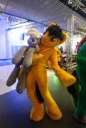 Eurofurence 24