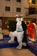 Eurofurence 24