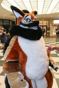 Eurofurence 24