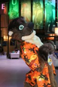 Eurofurence 24