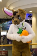 Eurofurence 24