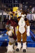 Eurofurence 24