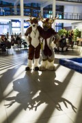 Eurofurence 24