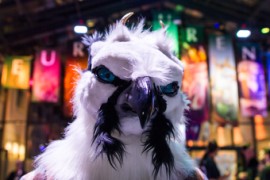 Eurofurence 24