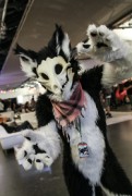 Eurofurence 24