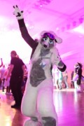 Eurofurence 24
