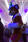 Eurofurence 24