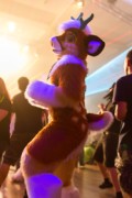 Eurofurence 24