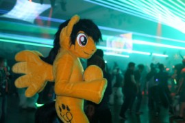 Eurofurence 24