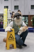 Eurofurence 24