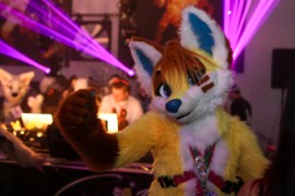 Eurofurence 24