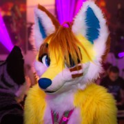 Eurofurence 24