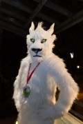 Eurofurence 24