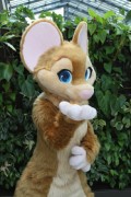 Eurofurence 25