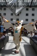 Eurofurence 25