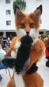 Eurofurence 25