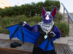 Eurofurence 25