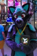 Eurofurence 25