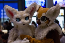 Eurofurence 25