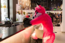 Eurofurence 25