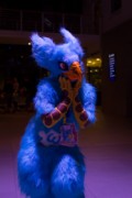 Eurofurence 25