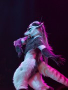 Eurofurence 25