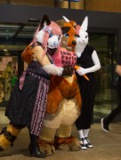 Eurofurence 25