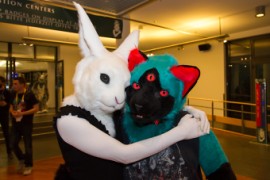 Eurofurence 25