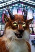 Eurofurence 25