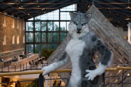 Eurofurence 25