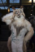 Eurofurence 25