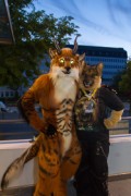 Eurofurence 25