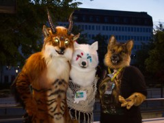 Eurofurence 25