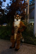 Eurofurence 25