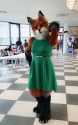 Eurofurence 25