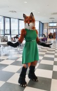 Eurofurence 25