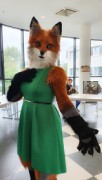 Eurofurence 25