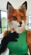 Eurofurence 25