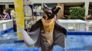 Eurofurence 25