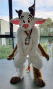 Eurofurence 25